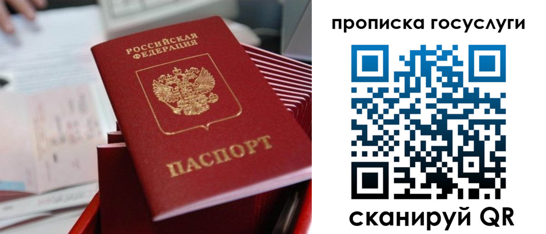 прописка законно в Сосновке